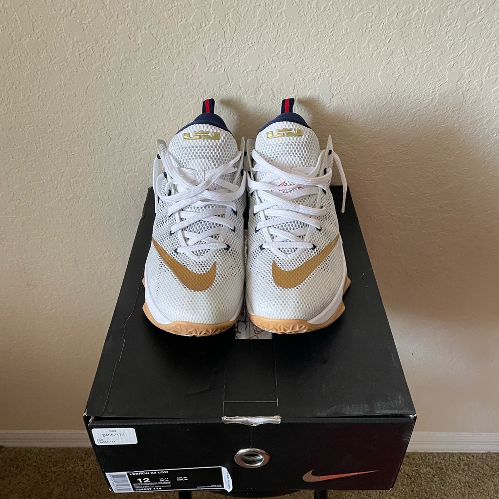 Nike Lebron 12 Low (USA)